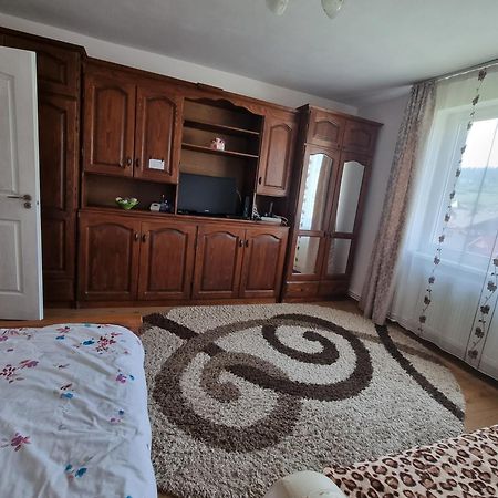 Garsoniera Emilia Appartement Câmpulung Moldovenesc Buitenkant foto