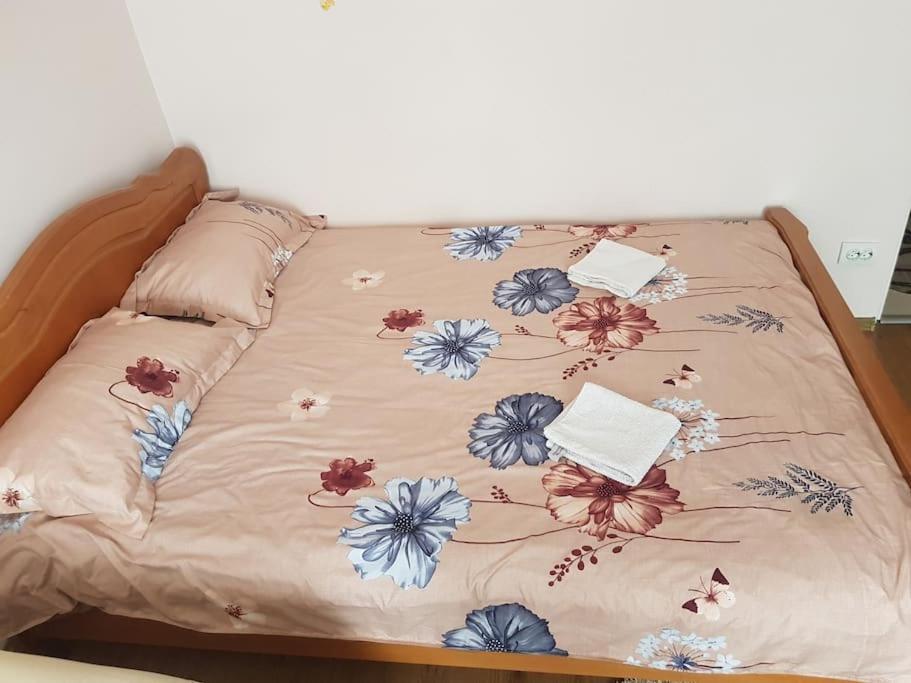 Garsoniera Emilia Appartement Câmpulung Moldovenesc Buitenkant foto
