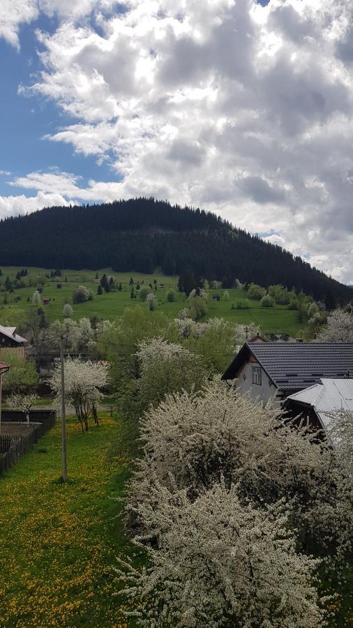 Garsoniera Emilia Appartement Câmpulung Moldovenesc Buitenkant foto